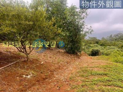 近市區自然優雅芳田視意圖